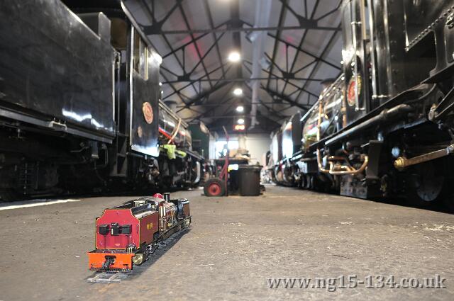 Four NGG16s and one NG15! (Photo: Laurence Armstrong)